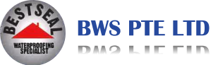 BWS Pte Ltd Logo